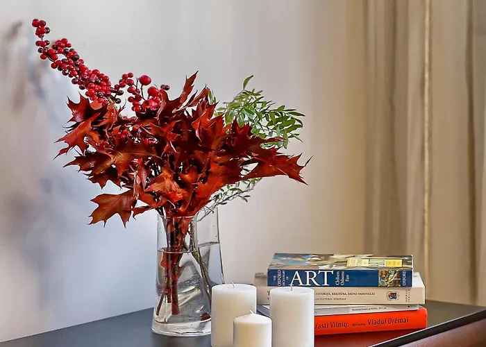 Family Oasis X Free Parking X Self Check In 24x7 * Vilnius